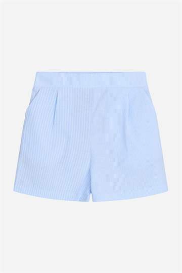 Grunt Shorts - Baldrian - Stone Blue